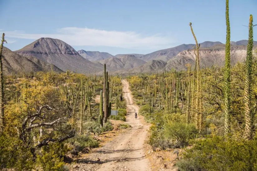 No te pierdas el paisaje de Cataviña, Baja California. Foto: cortesía.
