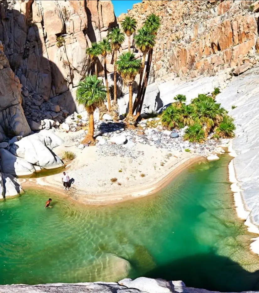 Disfruta del paisaje desértico de Cataviña, Baja California. Foto: cortesía.
