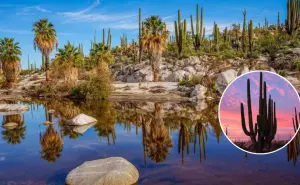 Cataviña, Baja California: Un oasis natural en el corazón del desierto