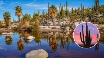 Cataviña, Baja California: Un oasis natural en el corazón del desierto