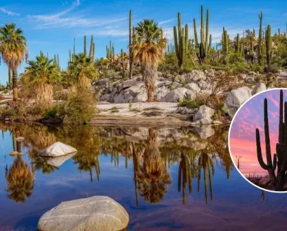Cataviña, Baja California: Un oasis natural en el corazón del desierto