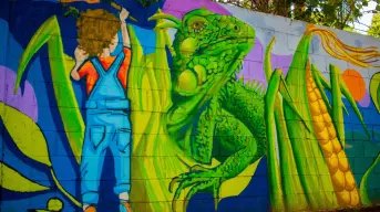 Pintar para sanar. Construyendo Paz transforma comunidades de Culiacán con murales hechos por sus propios vecinos