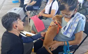 La salud y el bienestar animal llegan sin costo a la colonia Amistad en Culiacán