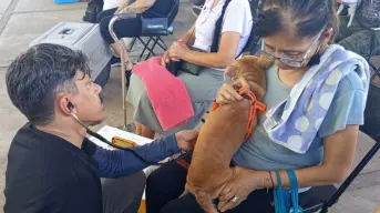 La salud y el bienestar animal llegan sin costo a la colonia Amistad en Culiacán