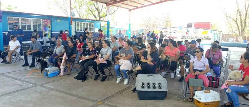 La salud y el bienestar animal llegan sin costo a la colonia Amistad en Culiacán Esterilizar también es un acto de amor: campaña gratuita alivia a familias en el sector sur de Culiacán.