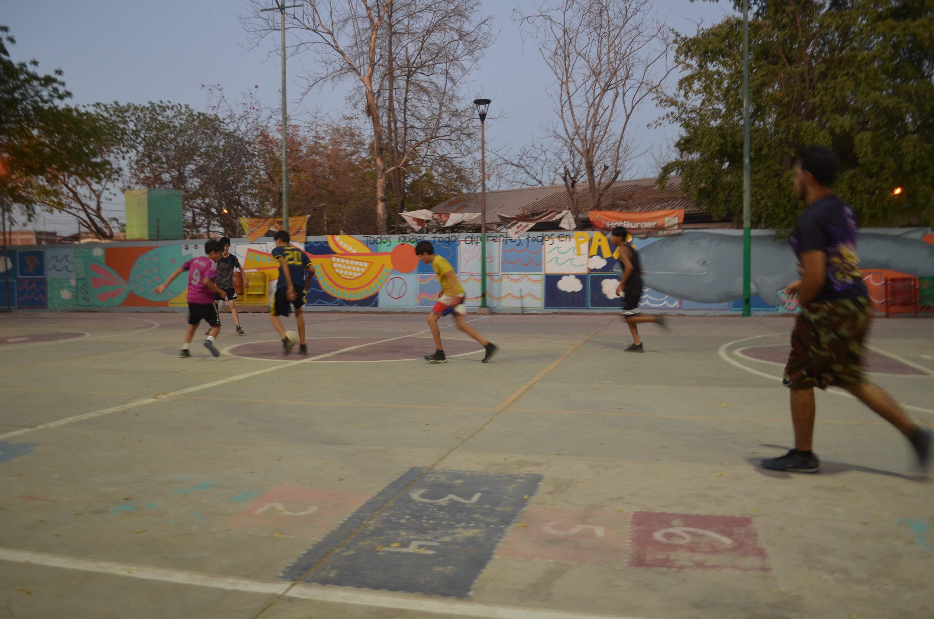 Imagen 1