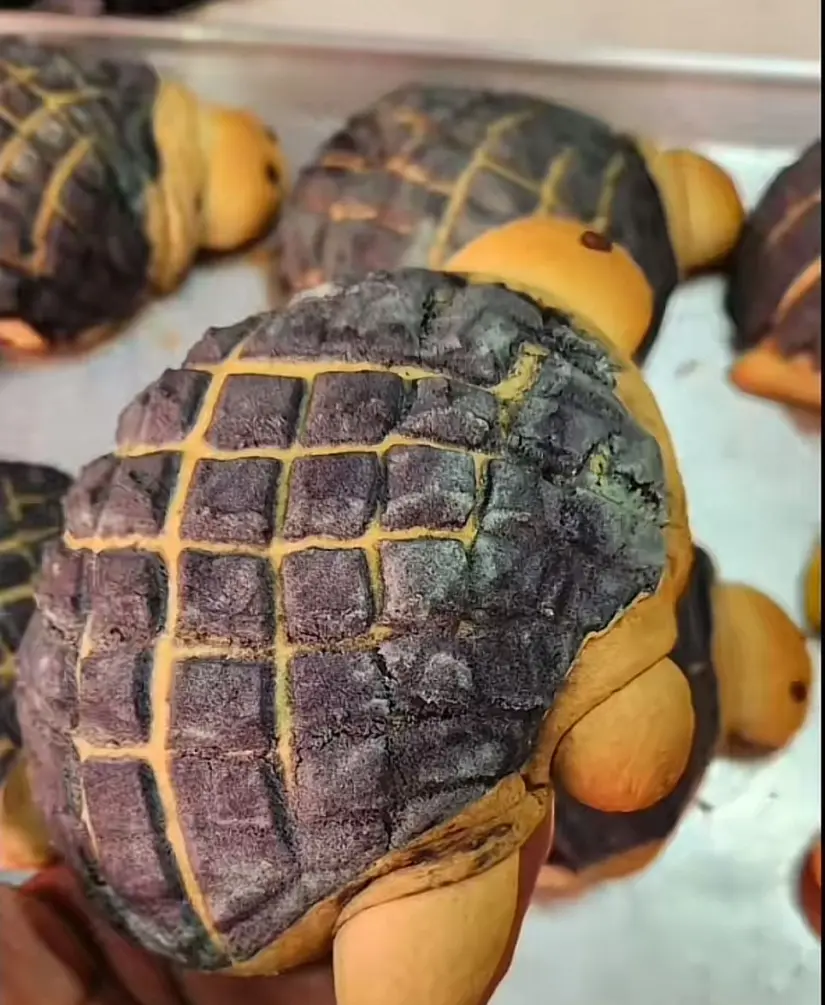 Para los amantes de las tortugas, llega la Tortuconcha, un mezcla entre lo dulce del pan y la ternura de estos animalitos. Foto: Cortesía. Para los amantes de las tortugas, llega la Tortuconcha, un mezcla entre lo dulce del pan y la ternura de estos animalitos. Foto: Cortesía.