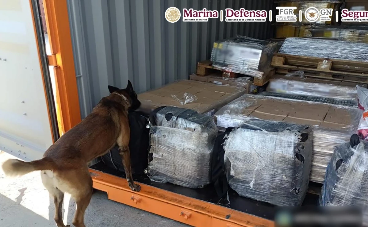 La droga fue encontrada con ayuda de un canino. Foto: Semar