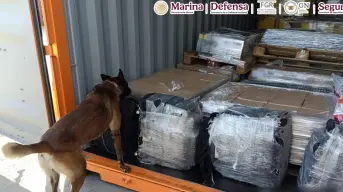 Golpe al narco en Baja California: aseguran cocaína con valor de 48 millones de pesos en Aduanas