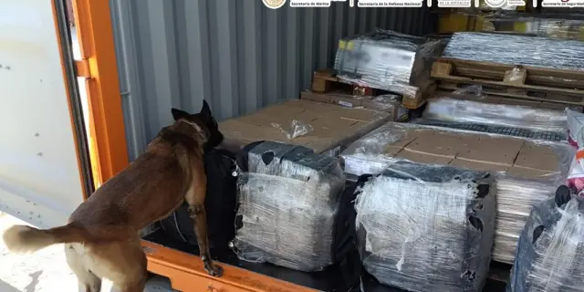 Golpe al narco en Baja California: aseguran cocaína con valor de 48 millones de pesos en Aduanas