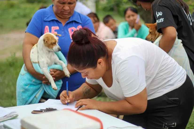 Cuidados ante de una esterilización de tu perrito o gatito Cuidados ante de una esterilización de tu perrito o gatito. Foto: Cortesía
