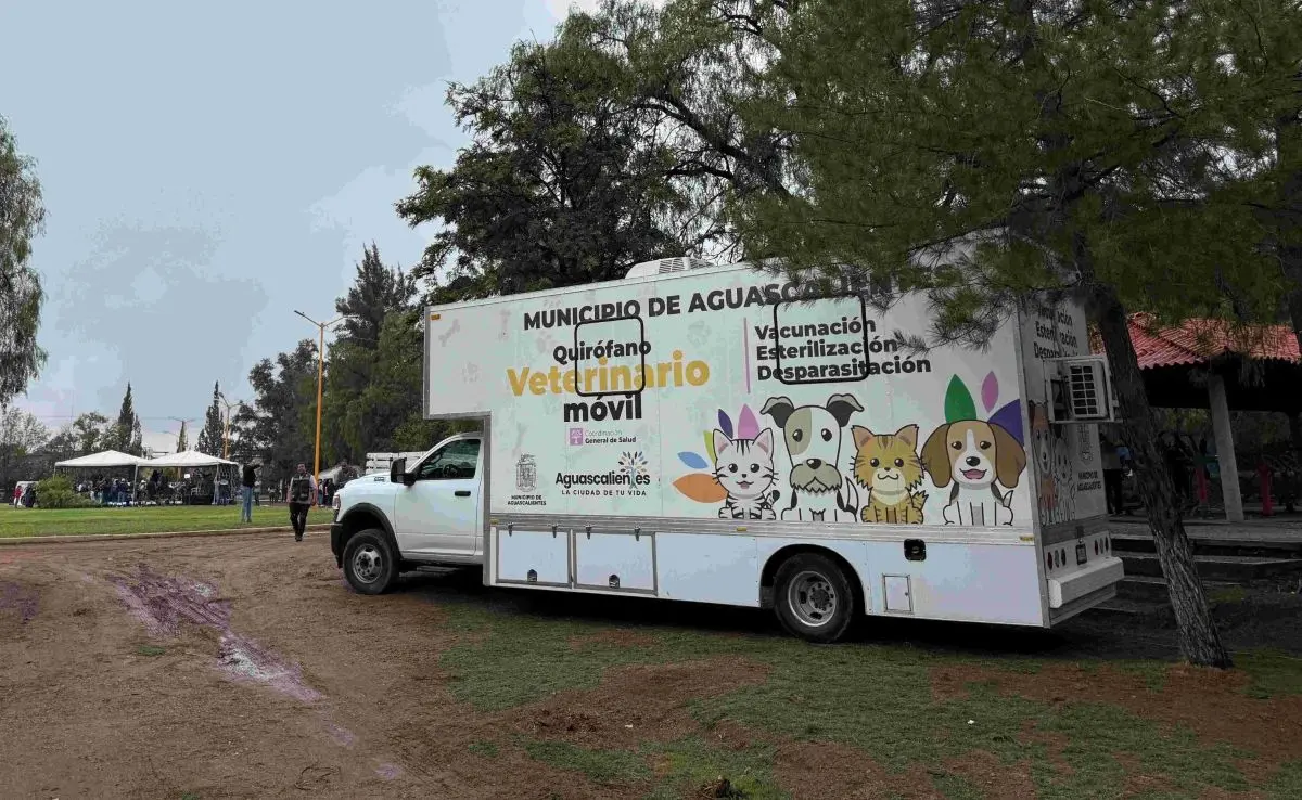 Servicios de esterilización sin costo en Aguascalientes. Foto: Cortesía