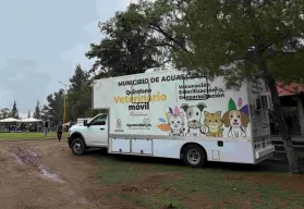 Nueva jornada de esterilización gratuita para lomitos y gatos en el municipio de Aguascalientes