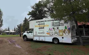 Nueva jornada de esterilización gratuita para lomitos y gatos en el municipio de Aguascalientes