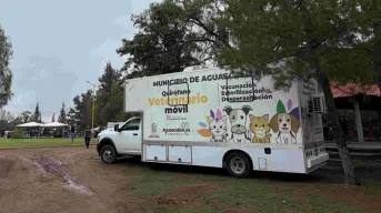 Nueva jornada de esterilización gratuita para lomitos y gatos en el municipio de Aguascalientes