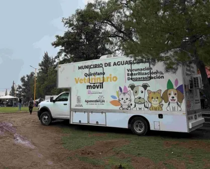 Nueva jornada de esterilización gratuita para lomitos y gatos en el municipio de Aguascalientes