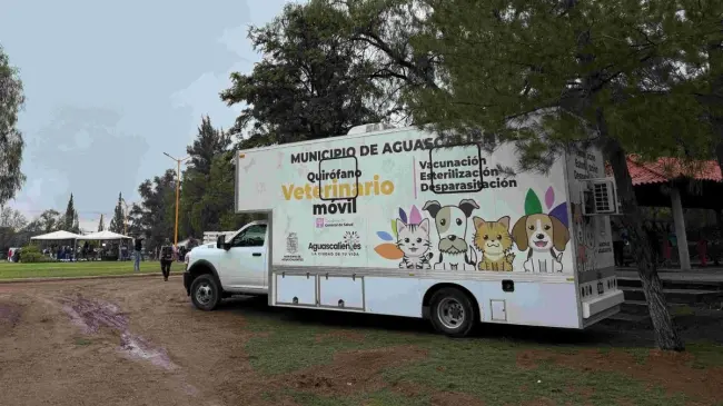 Servicios de esterilización sin costo en Aguascalientes. Foto: Cortesía