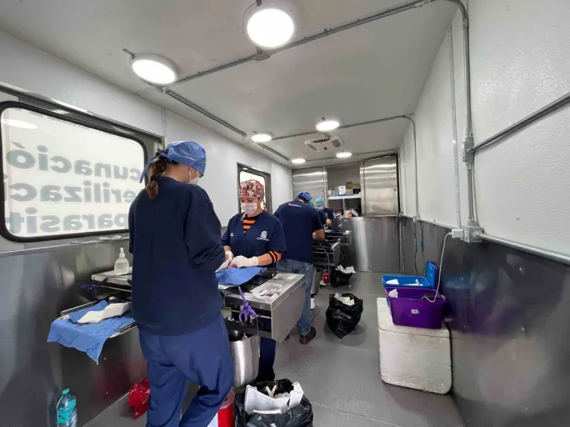 Servicio gratis de esterilización de mascotas en Aguascalientes Servicio gratis de esterilización de mascotas en Aguascalientes. Foto: Cortesía