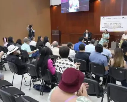 Ley de Filmaciones en Sinaloa: el proyecto para impulsar el cine local