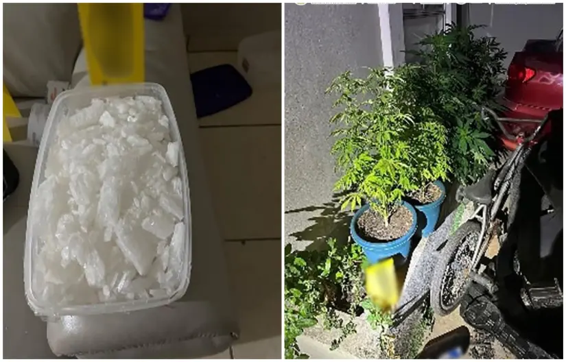 Aseguran mil pastillas de fentanilo y detienen a seis personas en Baja California A los detenidos les decomisaron 1 kilo de metanfetamina y seis plantas de marihuana. Fotos: SSPC