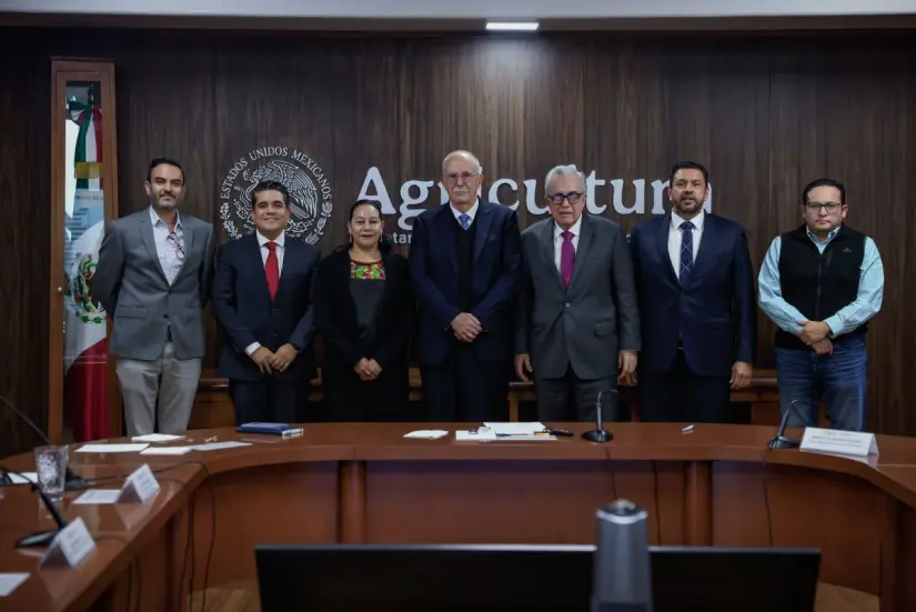 Grupo Maseca comprará otras 200 mil toneladas de maíz adicionales a las pactadas con Sinaloa