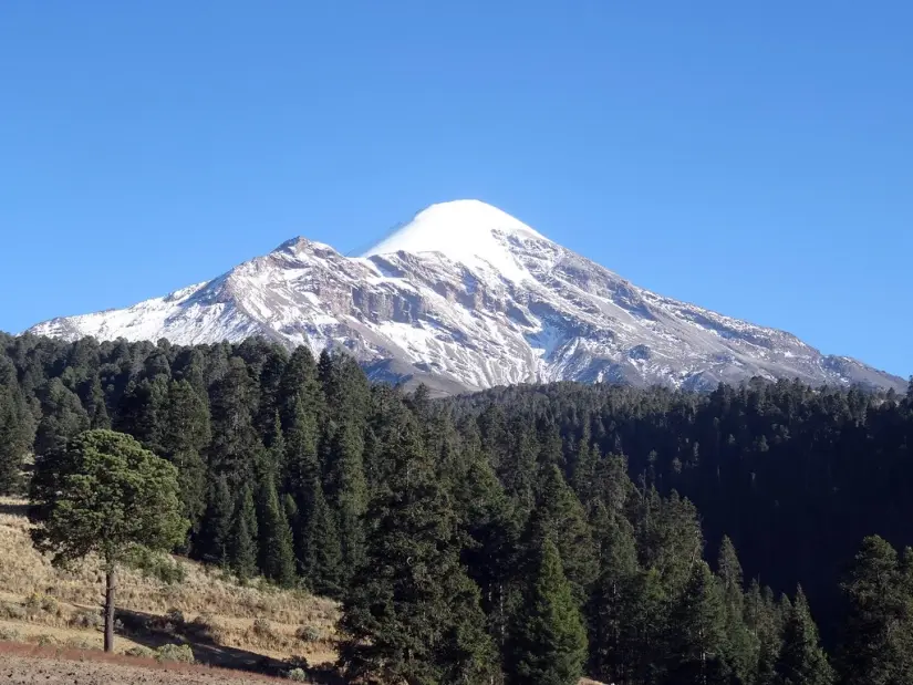 imagen recuadro Parque Nacional de Orizaba Foto: México Desconocido