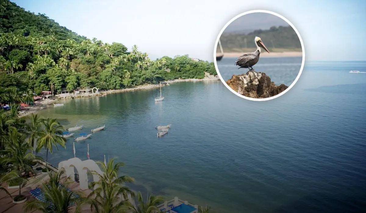Playas casi vírgenes y destinos poco conocidos que visitar en Jaslico en estas vacaciones de Verano 2025 Foto: Tripavisor