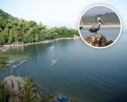 Playas poco conocidas de Jalisco que esperan ser visitadas en este verano 2025