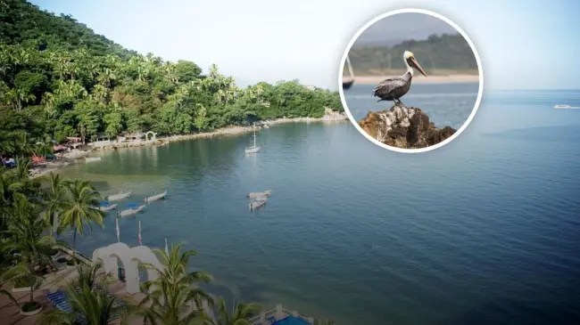 Playas casi vírgenes y destinos poco conocidos que visitar en Jaslico en estas vacaciones de Verano 2025 Foto: Tripavisor