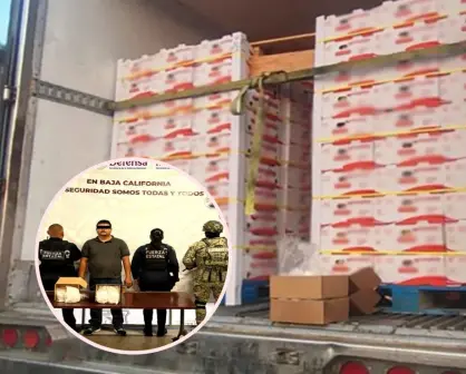 Tijuana: aseguran 1.1 toneladas de metanfetamina oculta entre tomates en camión de Sinaloa