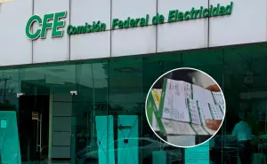CFE: cuándo puedes cambiar de titular de recibo en Baja California