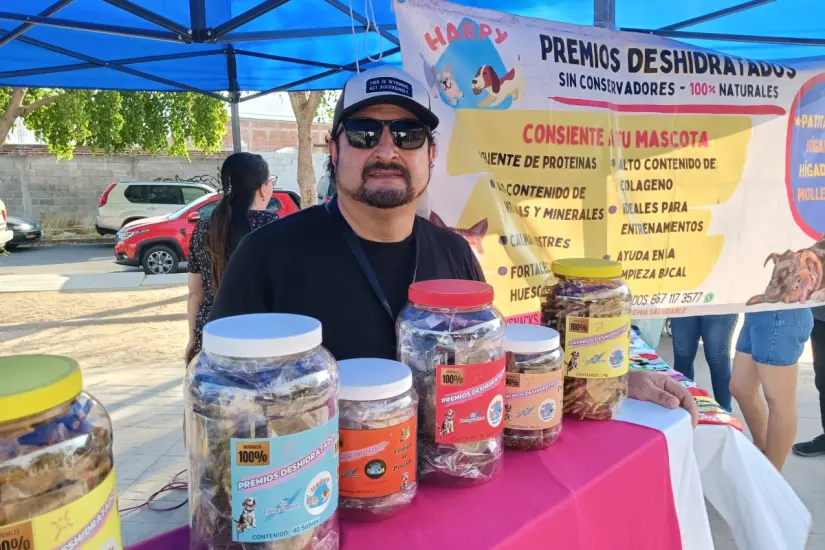 imagen recuadro Si quieres contactarlos, puedes hacerlo a través de Instagram, en @harpysnacks