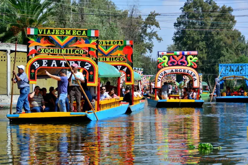 Disfruta de un paseo emocionante en las famosas Trajineras de Xochimilco. Foto: Cortesía.