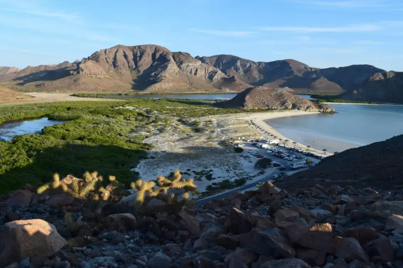 Visita la famosa Playa Balandra, en Baja California Sur. Foto: Unsplash. Visita la famosa Playa Balandra, en Baja California Sur. Foto: Unsplash.