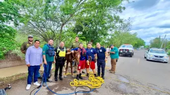 Protección Civil, Bomberos y GEPA rescatan un potrillo del canal San Lorenzo en Culiacán