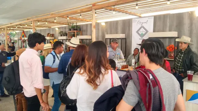 Festival del Mezcal y Maguey en el municipio de Aguascalientes (imagen ilustrativa). Foto: Cortesía