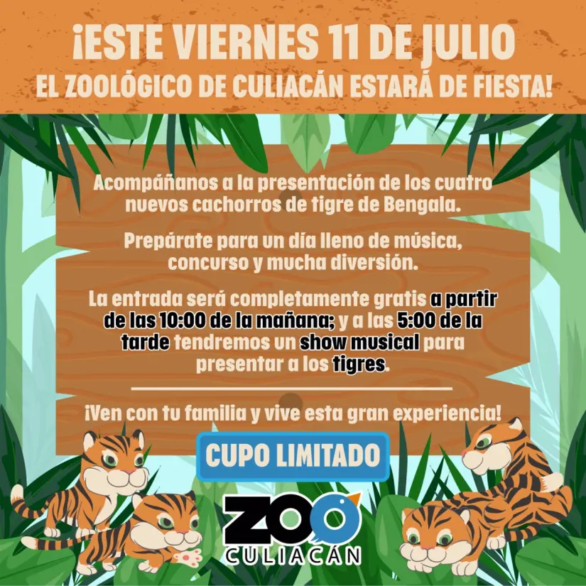 No te pierdas la oportunidad de conocer los recién nacidos cachorros de Tigre de Bengala. Foto: Cortesía. No te pierdas la oportunidad de conocer los recién nacidos cachorros de Tigre de Bengala. Foto: Cortesía.