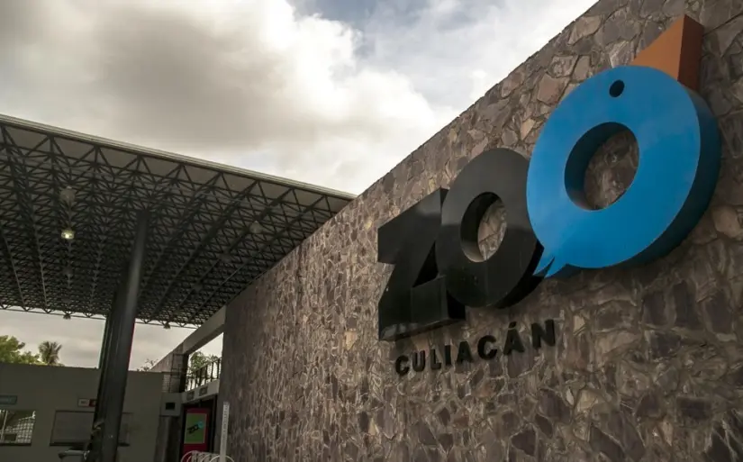 Zoológico de Culiacán crece con la llegada de estos cuatro ejemplares. Foto:Cortesía. Zoológico de Culiacán crece con la llegada de estos cuatro ejemplares. Foto:Cortesía.