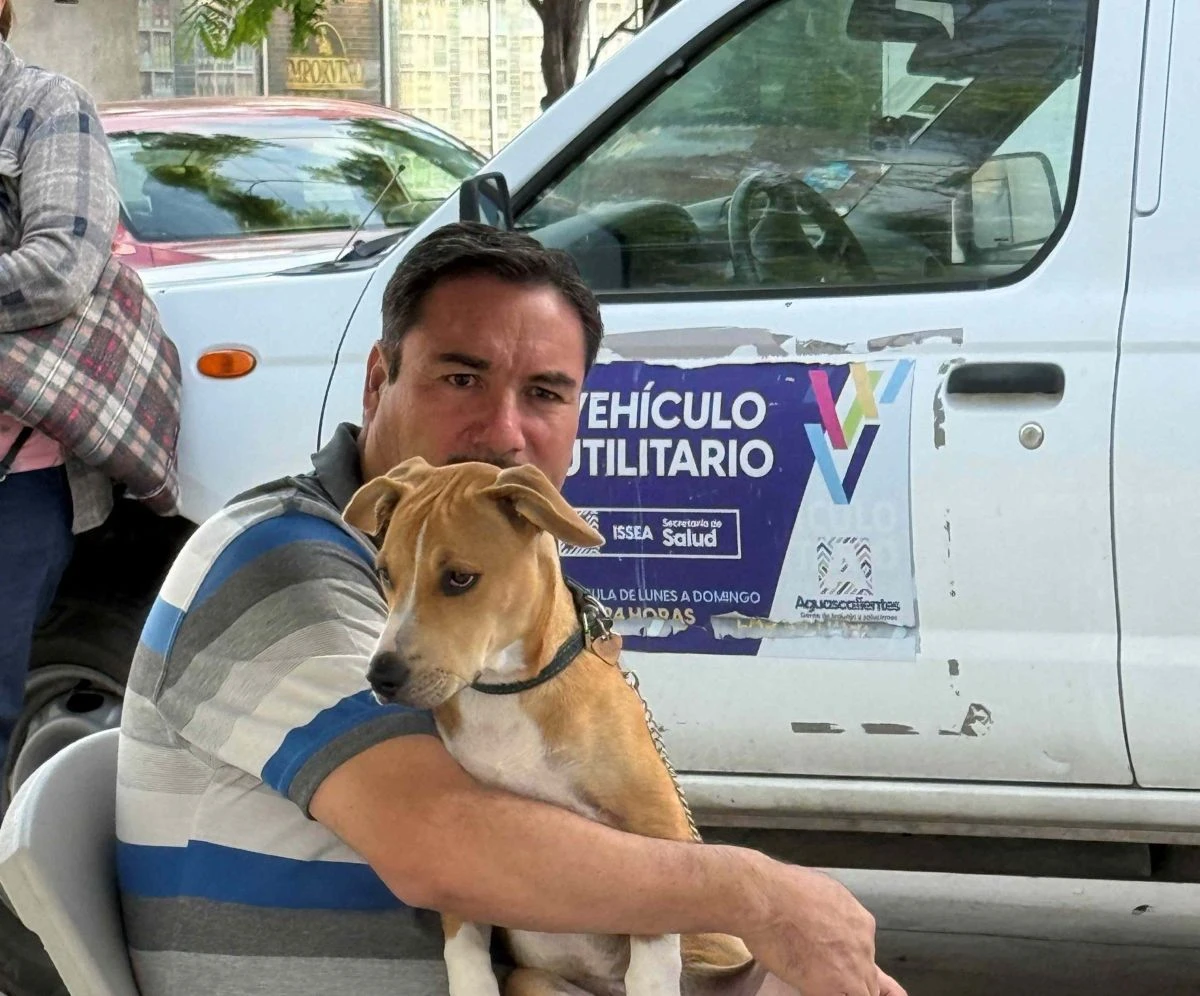 Jornadas más de esterilizaciones gratis en Aguascalientes. Foto: Cortesía
