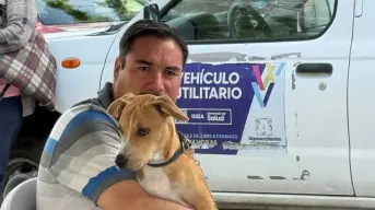 Dos fechas más de esterilizaciones gratis para tus mascotas en Aguascalientes