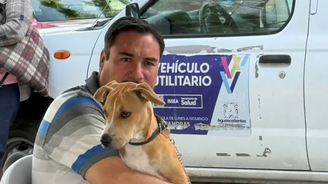 Jornadas más de esterilizaciones gratis en Aguascalientes. Foto: Cortesía