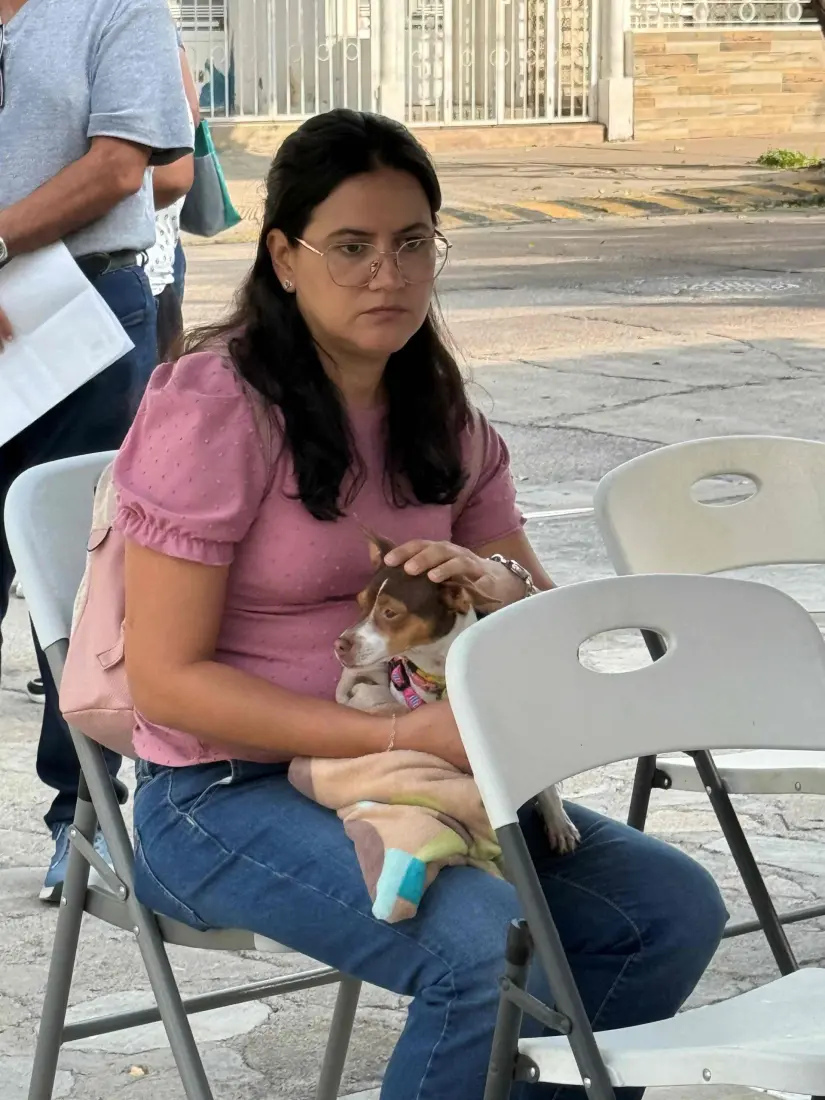 Fechas de esterilizaciones gratis en Aguascalientes Fechas de esterilizaciones gratis en Aguascalientes. Foto: Cortesía