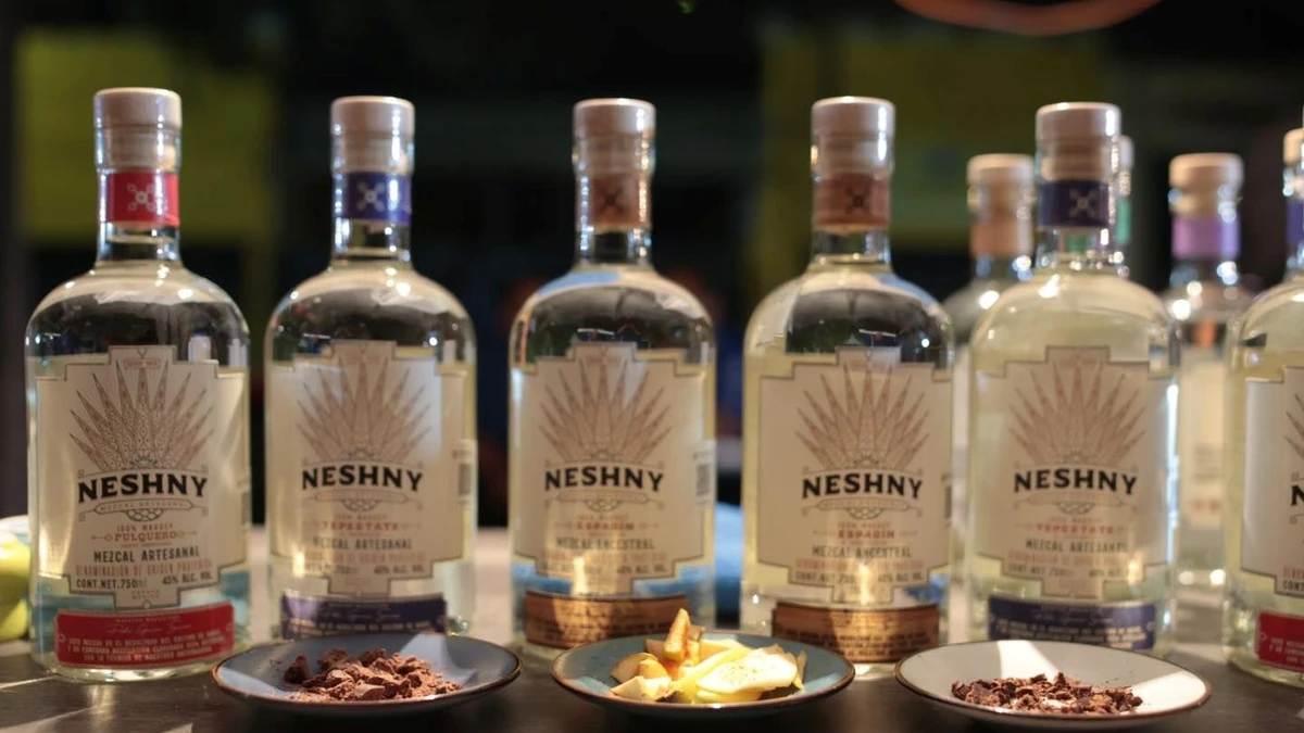 Estos son todos los detalles acerca del Festival del Mezcal y Maguey en Aguascalientes. Foto: Cortesía.