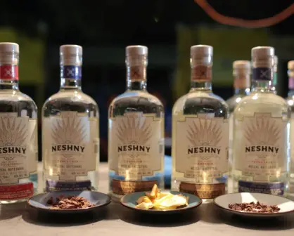 ¿Cuándo será el tercer Festival del Mezcal y Maguey en Aguascalientes?