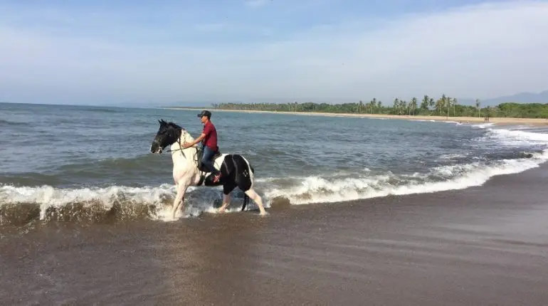 Esta es una de las playas poco conocidas de Nayarit, pero su misterio te cautivará. Foto: Cortesía. Esta es una de las playas poco conocidas de Nayarit, pero su misterio te cautivará. Foto: Cortesía.