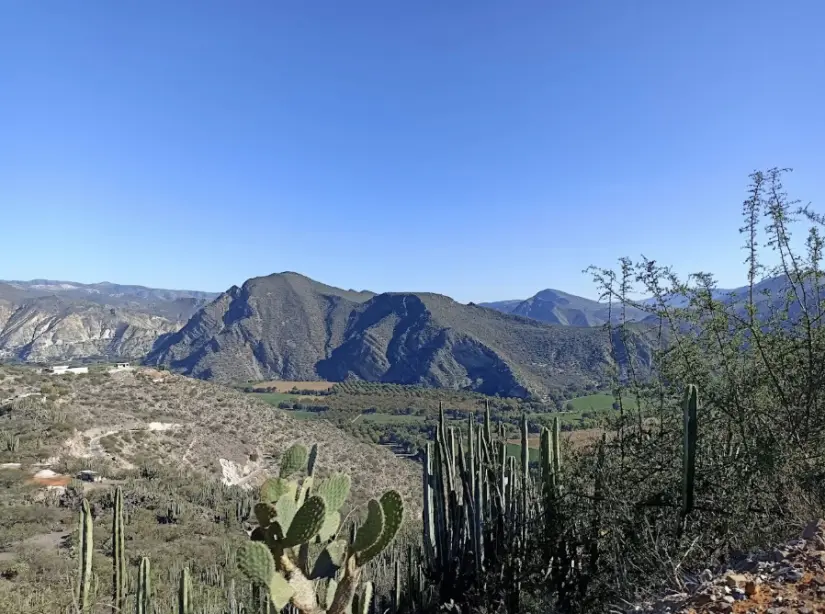 Reserva de la Biosfera Barranca de Metztitlán en Hidalgo. Foto: cortesía Reserva de la Biosfera Barranca de Metztitlán en Hidalgo. Foto: cortesía.