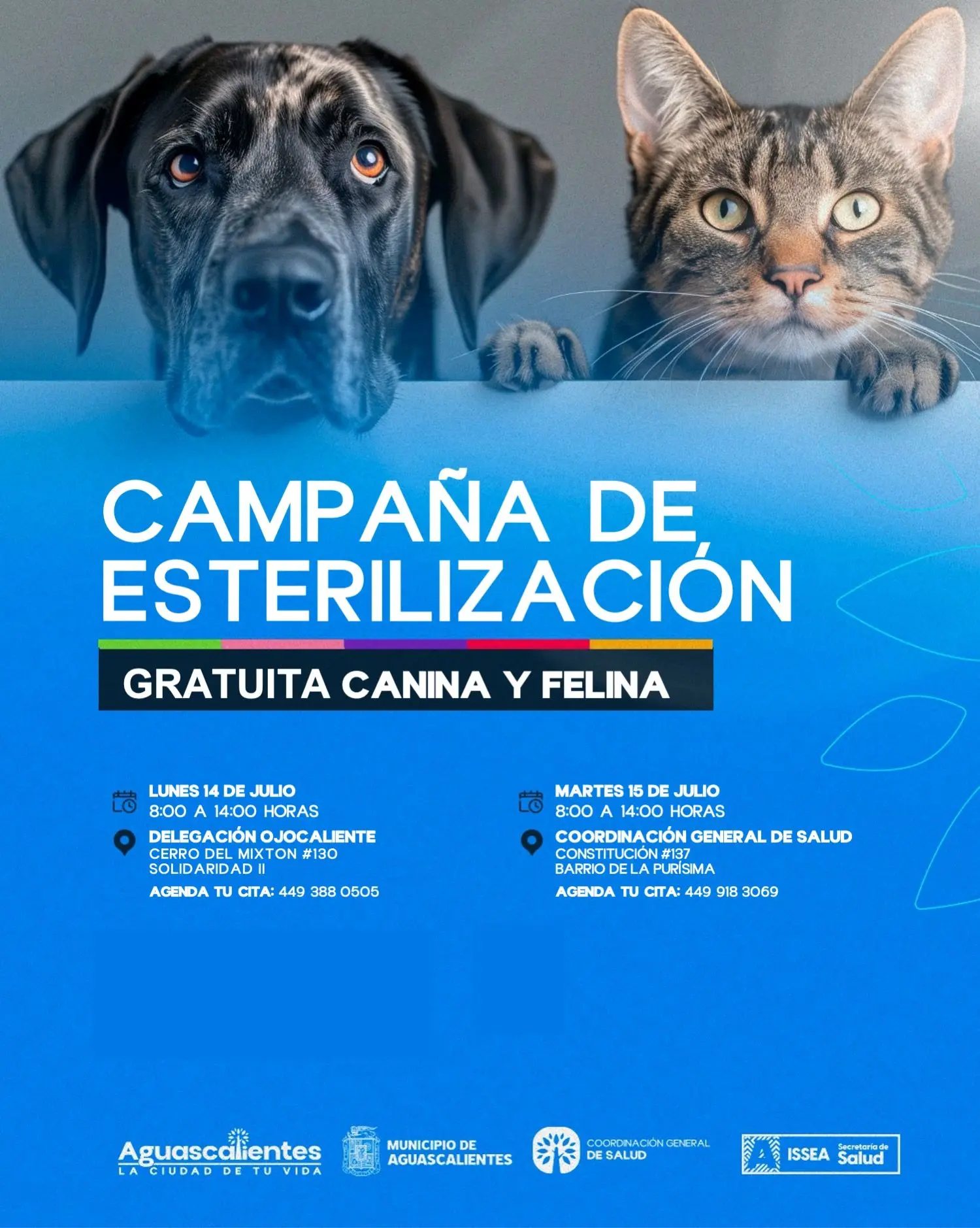Sedes de las esterilizaciones gratis en Aguascalientes. Foto: Cortesía