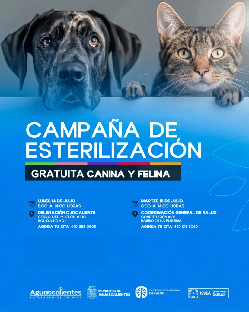 Sedes de las esterilizaciones gratis en Aguascalientes Sedes de las esterilizaciones gratis en Aguascalientes. Foto: Cortesía