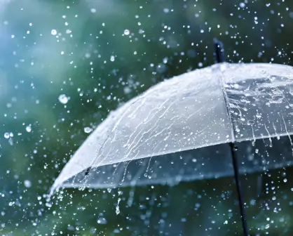 ¿Qué estados esperan lluvias intensas esta semana? Así estará el clima en México del 12 al 15 de agosto