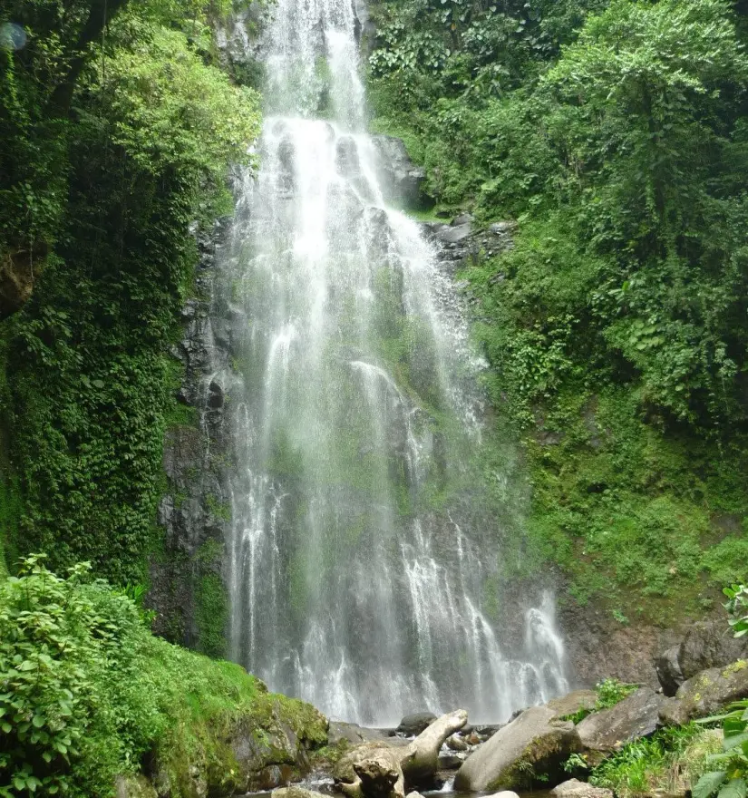 En Coatepec podrás disfrutar de actividades para toda la familia. Foto: Cortesía. En Coatepec podrás disfrutar de actividades para toda la familia. Foto: Cortesía.